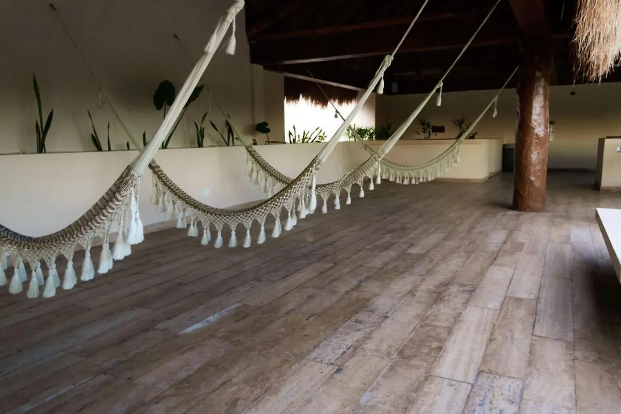 Luxury & Modern Apartments In Tulum Top Amenities By Yeah